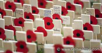 Remembrance Day weather forecast for Devon, Cornwall and Dorset - Cornwall Live