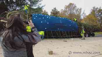 Rockefeller Christmas tree cut down and headed to NYC