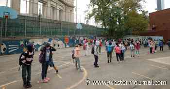 NYC Police Are Seizing Nearly 9 Weapons a Day in Local Schools as Crime Wave Rocks Lib-Run City