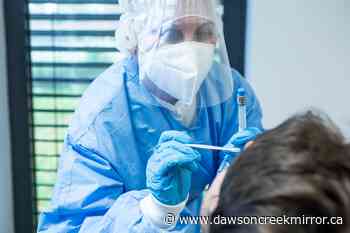 Canada PCR COVID-19 test: Businesses ask Ottawa to ditch it - Dawson Creek Mirror