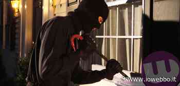 IOWEBBO - SORA - SCOPRE I LADRI, URLA E LI METTE IN FUGA - ioWebbo