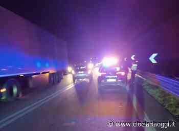 Sora, Cinghiali sulla Sora - Avezzano, incidente tra tre mezzi: paura in strada - ciociariaoggi.it