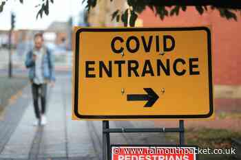 Coronavirus in Cornwall: Thursday, November 11, 2021 - Falmouth Packet