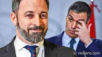 Abascal replica a Sánchez sobre su nivel de testosterona: ​»Quizá la suya le juega malas pasadas» - okdiario.com