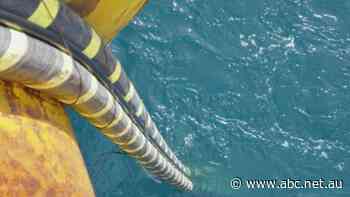 Bass Strait power cable company Basslink placed in adminstration
