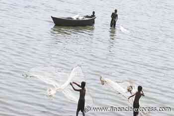Fishery subsidy: New WTO text tilted in favour of developed nations