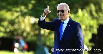 Not Satire: Biden Wants to Give Toxic Terry McAuliffe a Job in His Admin - Report