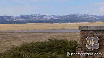 Flathead National Forest seeks comment on proposed Spotted Bear project - NBC Montana