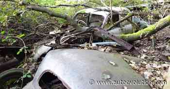 YouTuber Explores Forest Full of Dead Car-Casses, Finds Series 1 Jaguar E-Type - autoevolution