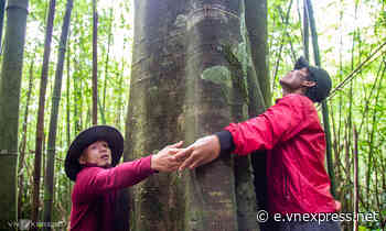 Made for each other: symbiotic forest-villager relationship wins international recognition - VnExpress International