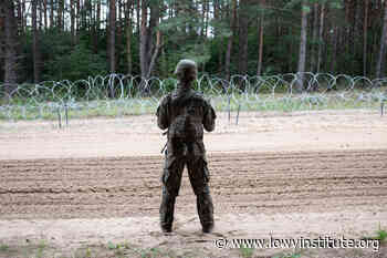 The forest for the trees: trouble at the Poland-Belarus border - The Interpreter