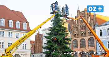 Wird der Weihnachtsmarkt Stralsund noch abgesagt? Das sagen Händler und Politik - Ostsee Zeitung