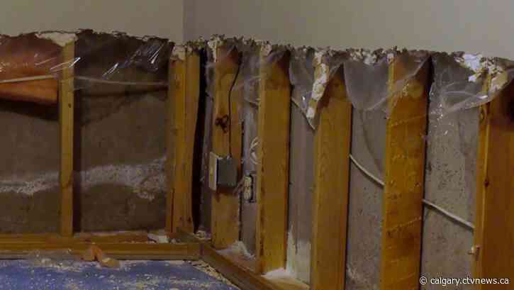 Calgary woman claims she was surprised by mould in her home following inspection