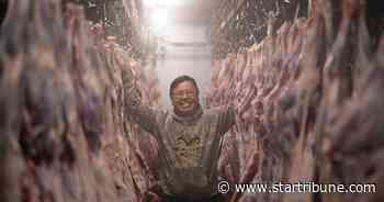South St. Paul immigrant slaughterhouses weigh options for growth, relocation
