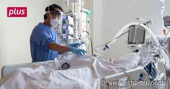 Ja zum Mietradsystem für Bischofsheim - Echo Online