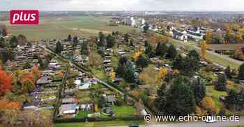 Beim Nähkurs im Café Wunderbar in Trebur wird eifrig gelernt - Echo Online