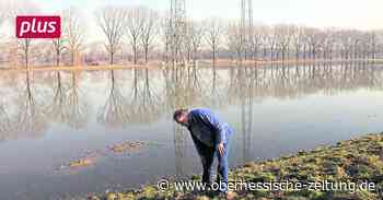 Hochwasserschutz? Warum bei Trebur kein Polder entsteht - Oberhessische Zeitung