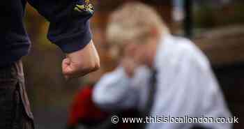 The south east London bullies excluded from school