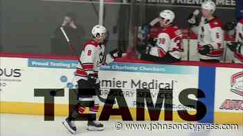 Premier Medical Laboratory Services is the Official Testing Partner of the Charlotte Checkers - Johnson City Press (subscription)