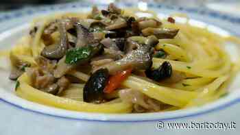 Sagre d'autunno 2021 a Bari e provincia: degustazioni, concerti, visite guidate e tanto divertimento in sicurezza - BariToday