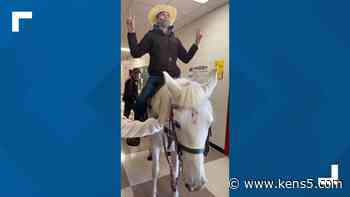 Student suspended for 'disruption' after riding horse into high school in Virginia - KENS5.com