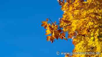 Heiterer Freitag in Nordrhein-Westfalen erwartet - Süddeutsche Zeitung