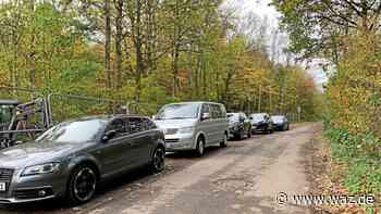 Parkdruck am Baldeneysee: Warum Essen Parkplätze streicht - WAZ News