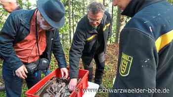 Unglück in Bad Herrenalb: Militärmaschine zerschellt am Berghang