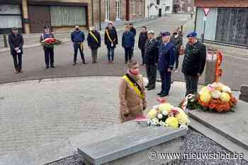 Geringe opkomst voor 11 novembervieringen