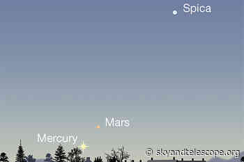 This Week's Sky at a Glance, November 12 – 20