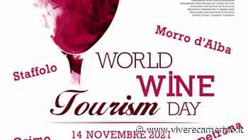 Matelica e Serrapetrona: giornata mondiale dell'enoturismo, gli eventi nelle città del vino - Vivere Camerino