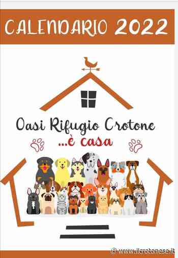 Oasi Rifugio Crotone, calendario 2022 per aiutare gli amici a 4 zampe - Il Crotonese
