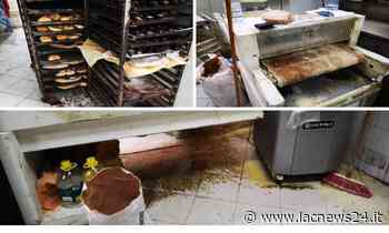 I controlli - Crotone, precarie condizioni igienico-sanitarie e personale senza Green pass: sanzionato un panificio - LaC news24