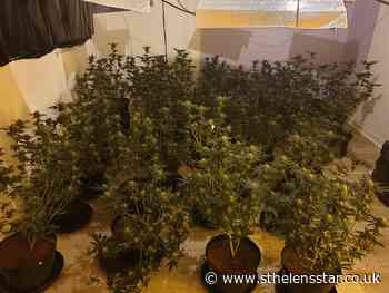 Police find two cannabis farms in Dragon Drive, Whiston - St Helens Star