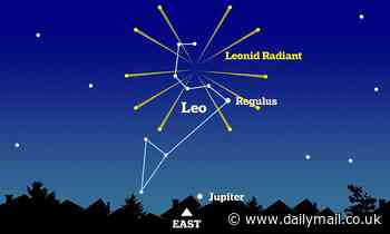 Look up next week! Leonids Meteor Shower will peak on Wednesday