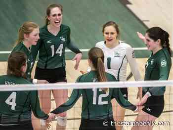 Get crafty: Five things to do this weekend in Saskatoon