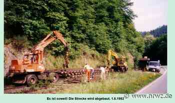 Bahnlinie Schiltach-Schramberg: Viele positive Reaktionen - Neue Rottweiler Zeitung online