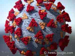 COVID trends level in WA, concern about other viruses - KHQ Right Now