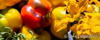 "Un'agricoltura che diventa cura": a Cuneo prosegue la rassegna dedicata all'agricoltura sociale - TargatoCn.it