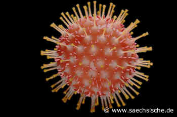 Riesa: Starker Inzidenz-Anstieg am Wochenende - Sächsische.de