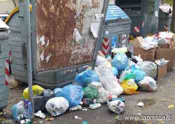 Modena sporca, in via Verdi l'immondizia è in strada - La Pressa