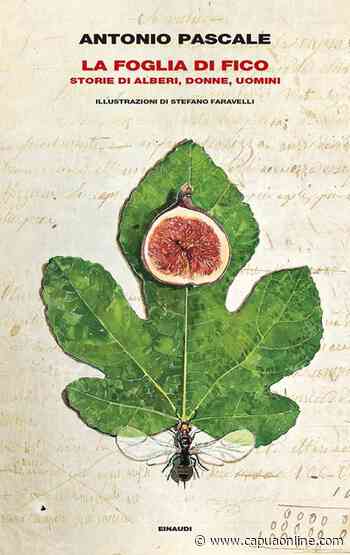 Capua: Antonio Pascale in anteprima a Capua per “La città che Legge” - Capuaonline.com