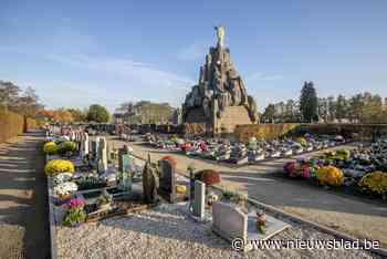 Sint-Katelijne-Waver onderzoekt aanleg van natuurbegraafplaats: “Maar eerst werk maken van sterrenweide”