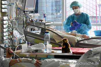 Corona in Dresden: "Rasante Zunahme von Patienten" - Sächsische.de