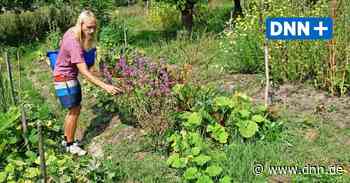 "NamNam Natura" aus Dresden: Vielfalt statt Monokultur in Tschechien - Dresdner Neueste Nachrichten