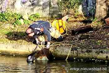 Magneetvissers moeten alweer politie bellen: “Geweer en geldwisselaar gevonden”