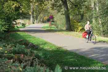 Tweewielers bollen van Hoogmolenbrug recht Papenaardekenstraat in: grootscheepse werken ter voorbereiding nieuwe fietsstraat