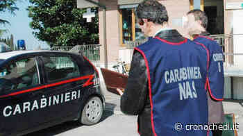 Toscana: controlli dei Nas in centri estetici Firenze e Prato, due irregolari - Cronachedi.it - Il quotidiano online di informazione indipendente