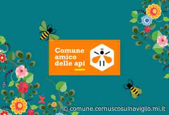 Progetto Prato Fiorito – Città di Cernusco sul Naviglio - Comune di Cernusco sul Naviglio