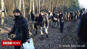 Poland-Belarus: How social media posts fuelled the migrant crisis